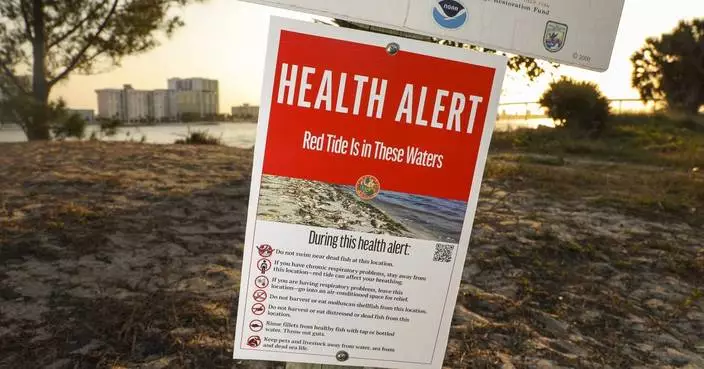 What to know about red tide after Florida's back-to-back hurricanes