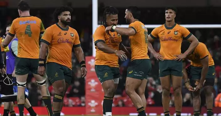 Wallabies halfway to the Grand Slam and give debut to Harry Potter for test against Scotland