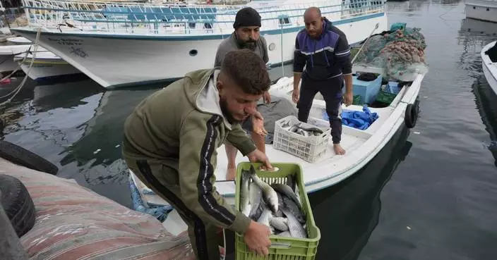 Fishers at a Lebanese port hope ceasefire with Israel means normal life is returning