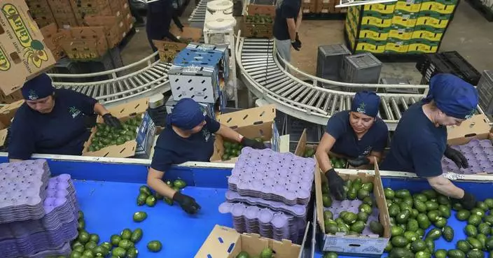 Avocados, tequila and other iconic Mexican products are jeopardized by Trump's tariff threats