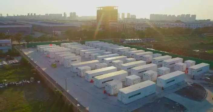 China sees rapid growth in new-type energy storage sector: official