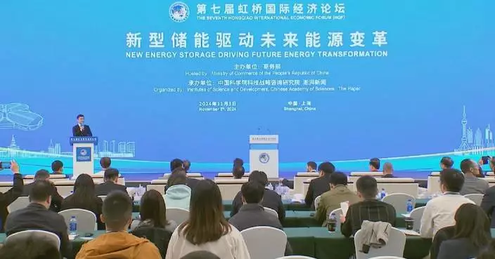 Hongqiao Forum sub-meeting highlights new-type energy storage for future energy reform