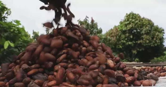 CIIE offers Cote d&#8217;Ivoire cocoa opportunity for industrial upgrading