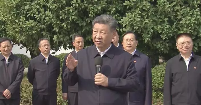 Xi urges accelerating rural revitalization