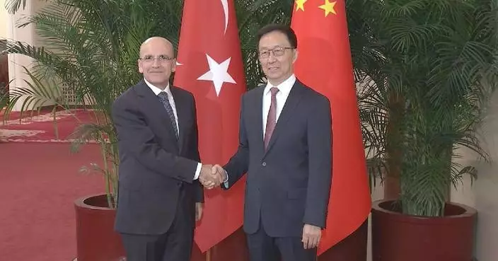 Chinese vice president meets Turkish minister of treasury, finance