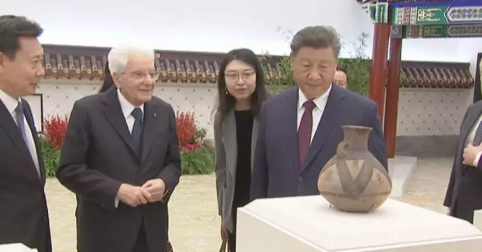 Xi, Mattarella view cultural relics returned to China