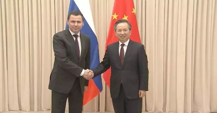 Senior CPC official meets Russian presidential executive office delegation