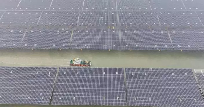 China's first MW-level offshore PV farm successfully connected to grid