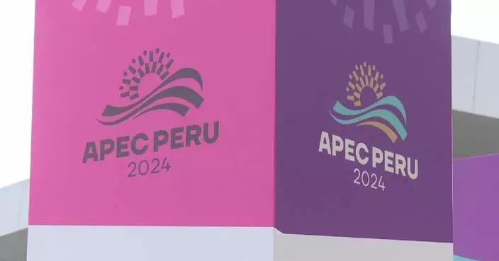 APEC ministerial meetings show consensus spirit: chair