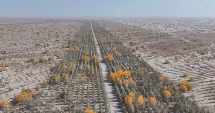 China&#8217; experience in desert control helps green BRI participating countries