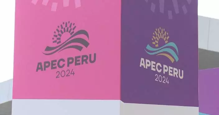 APEC CEO Summit chief emphasizes China-Peru trade, expects APEC to enhance partnership