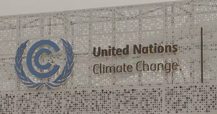 UN-led global carbon trading negotiations go into details