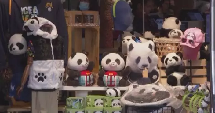 Hong Kong celebrates 100 days of locally born panda twins