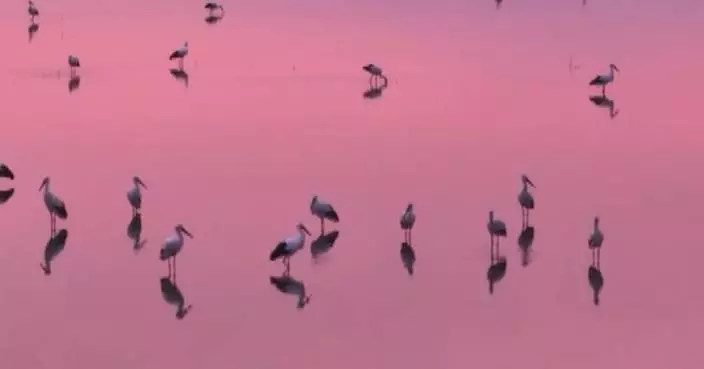 China&#8217;s wetland reserves see arrival of wintering migratory birds