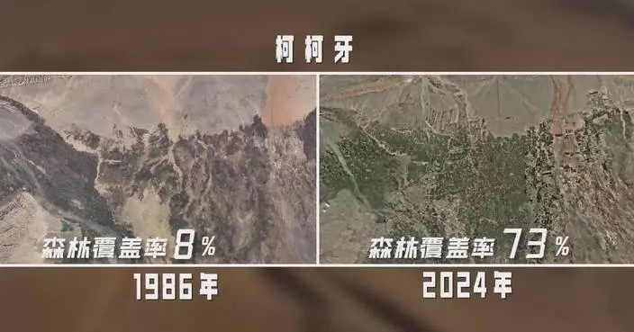 Satellite images show people's efforts, achievements in desert control in Xinjiang