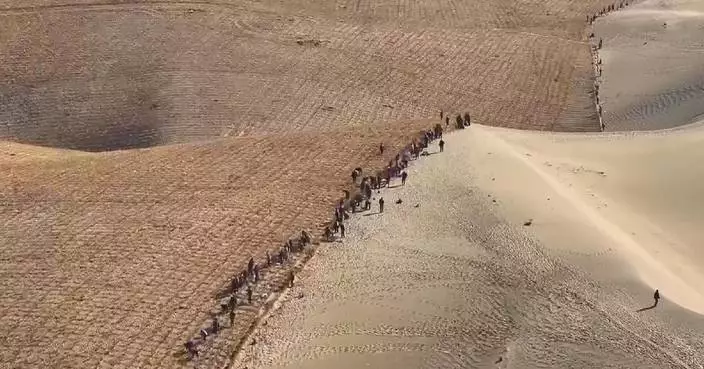 Xinjiang builds sand fences to hold back desertification, boost local economy