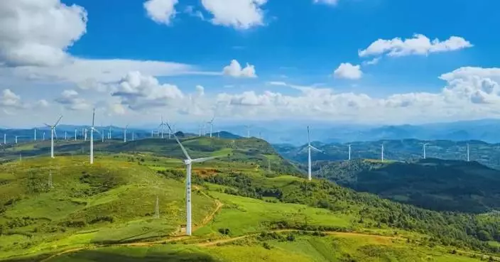 China accelerates green transition, boosts global climate efforts