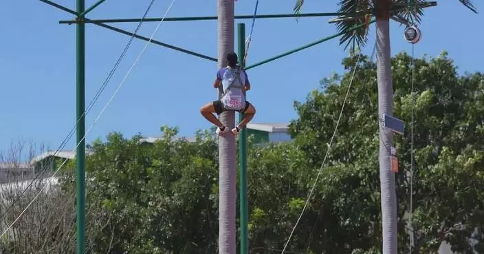 Hainan sweeps men, women&#8217;s titles in coconut tree climbing