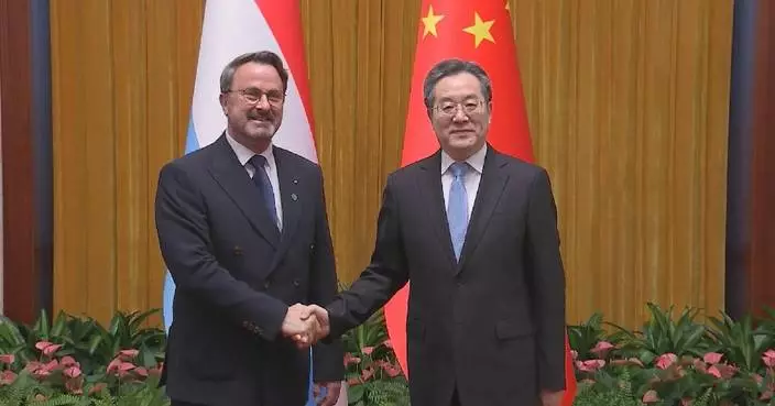 Chinese vice premier meets Luxembourg&#8217;s deputy PM