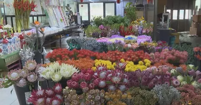 Ecuadorian flower imports bloom in China under new trade deal