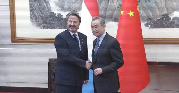 Chinese FM holds talks with deputy PM of Luxembourg