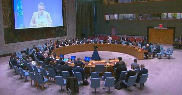 Palestinian, Israeli representatives have sharp exchange at Security Council meeting