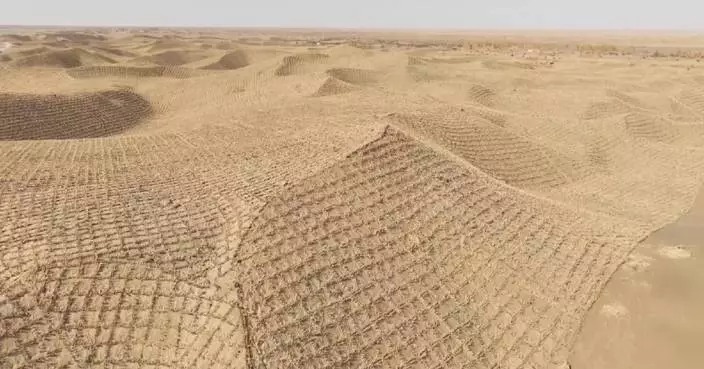 China completes green belt encircling Taklimakan Desert