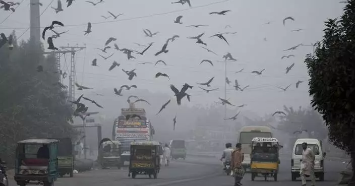 Pakistani province declares health emergency due to smog and locks down two cities