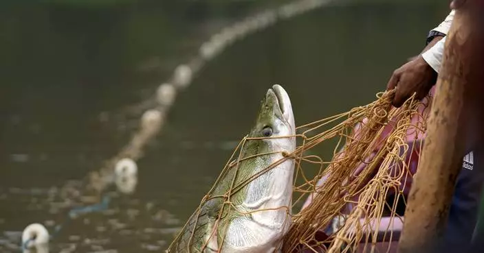 Severe droughts threaten the sustainable catch of the Amazon&#8217;s giant fish