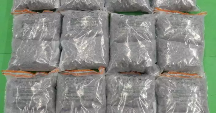 Customs Seizes 24kg of Cannabis Buds, Arrests Four Passengers at Hong Kong Airport