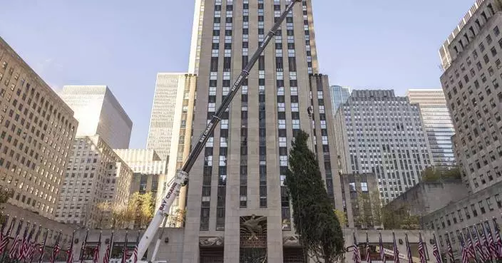 Haul out the holly! Rockefeller Center Christmas Tree arrives in New York City