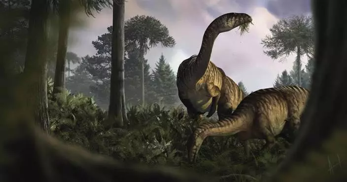 Fossilized dinosaur feces and vomit help scientists reconstruct the creatures' rise