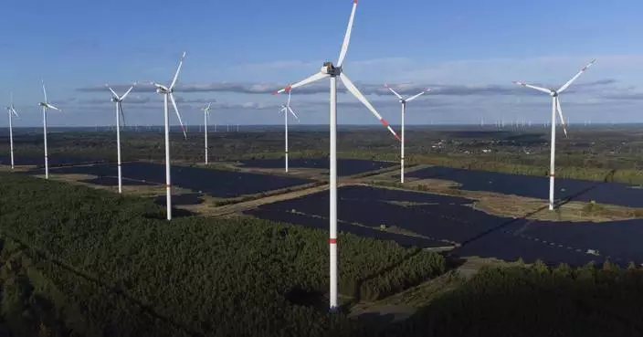 Germany&#8217;s top court rejects renewable energy producers&#8217; case against use of windfall profits