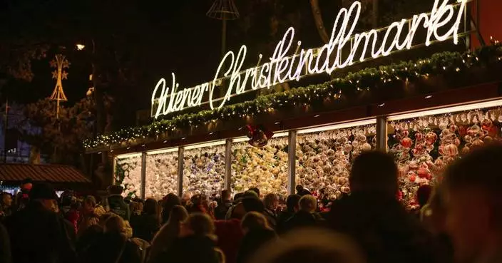 Lighting of Vienna town hall Christmas tree marks start of Yuletide season in Austrian capital