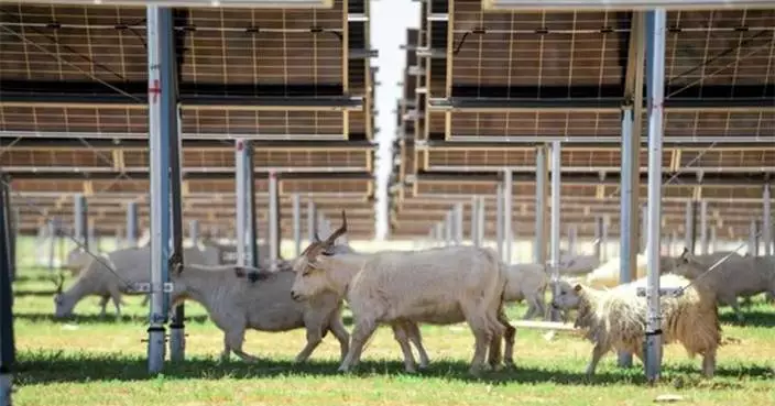 Arctech&#8217;s SkyWings Empowers the World&#8217;s Largest Single-Capacity PV Power Plant Built on Coal Mining Subsidence Area