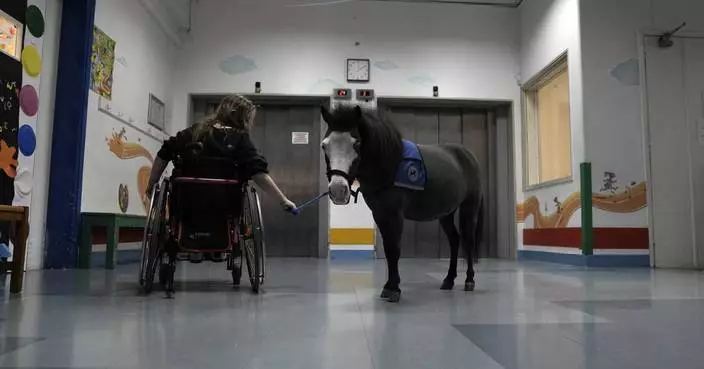 Greece&#8217;s only miniature therapy horses bring joy to many, but their charity is struggling