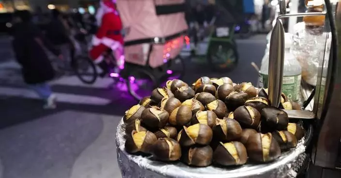 &#8216;Tis the season for roasting chestnuts. But in the US, native ones are almost gone