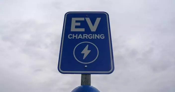 Five facts about electric vehicles in 2024