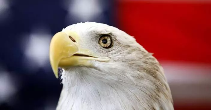 Biden signs a bill officially making the bald eagle the national bird of the US