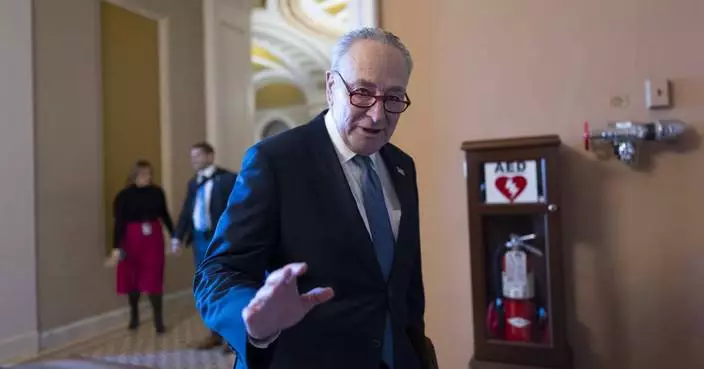 Democrats stick with Schumer as leader, their strategy for countering Trump is far less certain