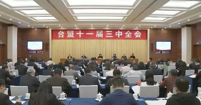 11th TDSL Central Committee holds third plenary session