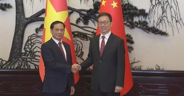 Chinese, Vietnamese officials pledge to promote China-Vietnam community with shared future