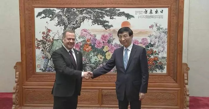 Chinese top political advisor meets United Russia party chairman