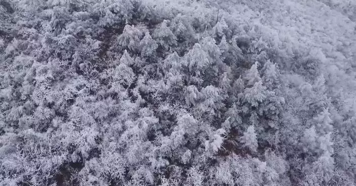 Stunning rime scenery adorns deserts, mountains in China