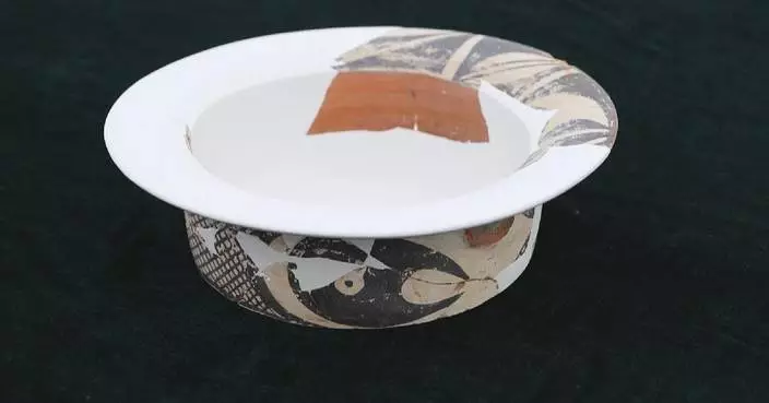 Rare painted fish-pattern pottery basin unearthed in Shanxi