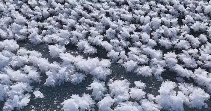 &#8220;Ice flowers&#8221; bloom on northwest China’s Bosten Lake