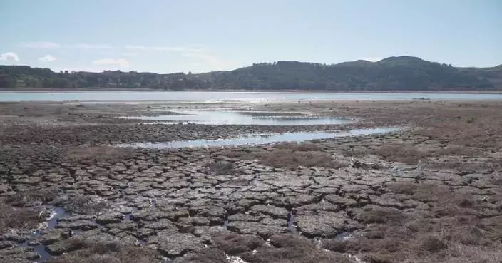 Persisting drought deals heavy blow to Sicily's agriculture