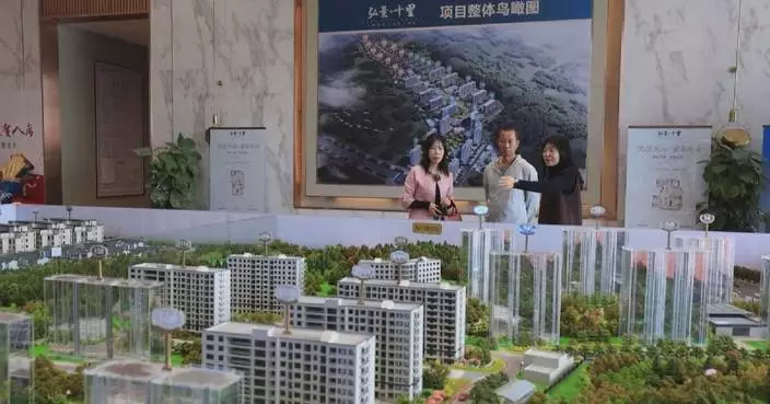 China's real estate stimulus measures begin to take effect: experts