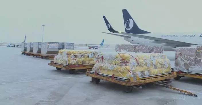 Urumqi Airport sees rise of over 600 pct in import, export cargo volume