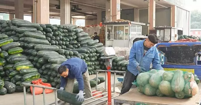 China's marketing service system for farm produce further improved